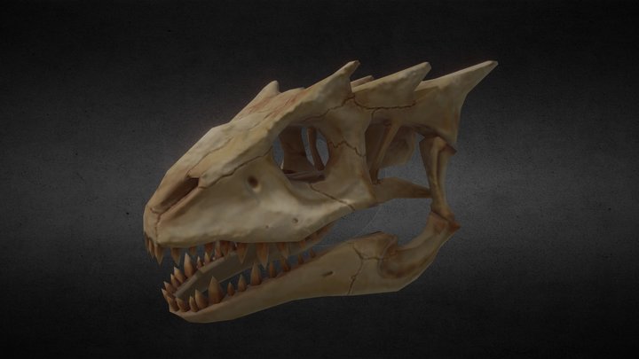 Dragon Skull 3D Model